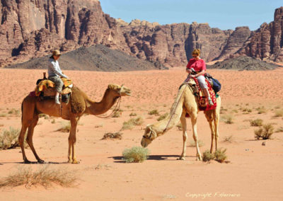 Circuit Jordanie – Les deux joyaux de Jordanie