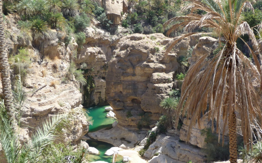 Oman – Beautés omanaises et les fjords de Musandam