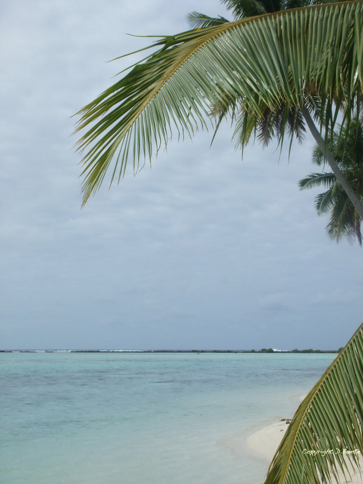 Polynesie-Atoll