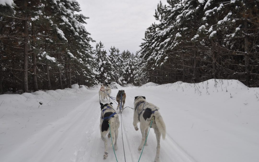 Canada – Escapade hivernale au Québec