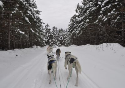 Canada – Escapade hivernale au Québec