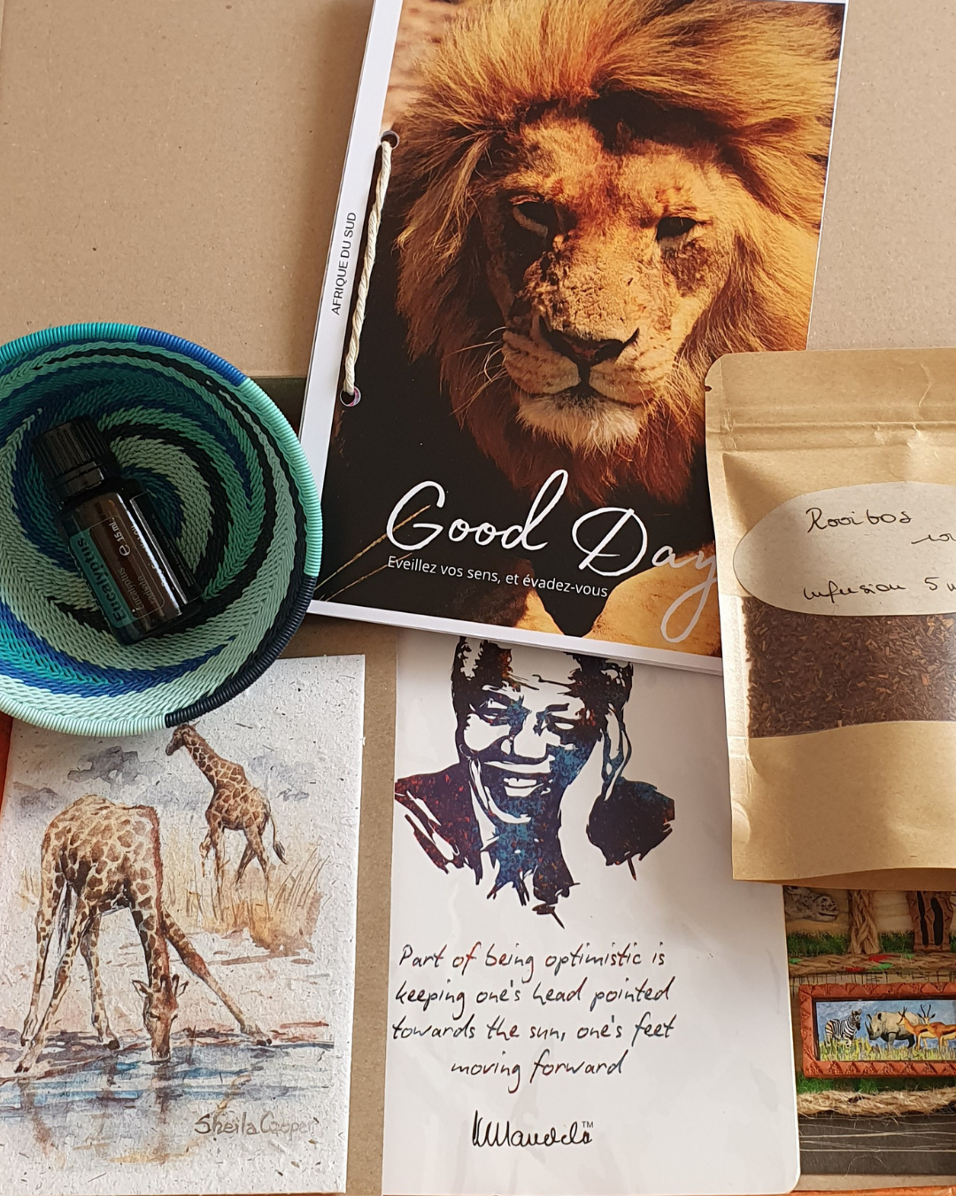 Box-voyage-bien-etre-afrique-du-sud