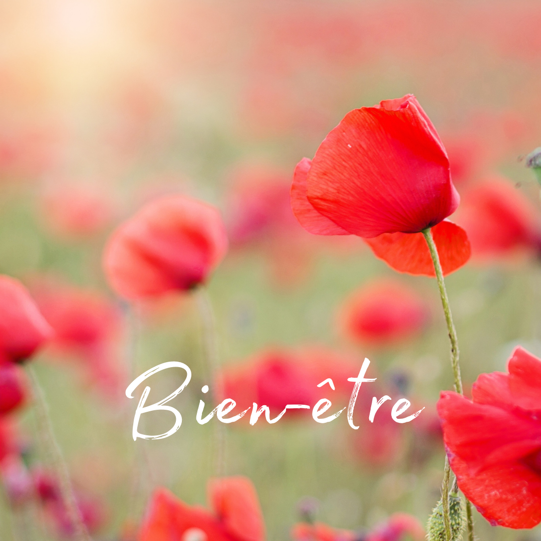 WEEK-END BIEN-ÊTRE
