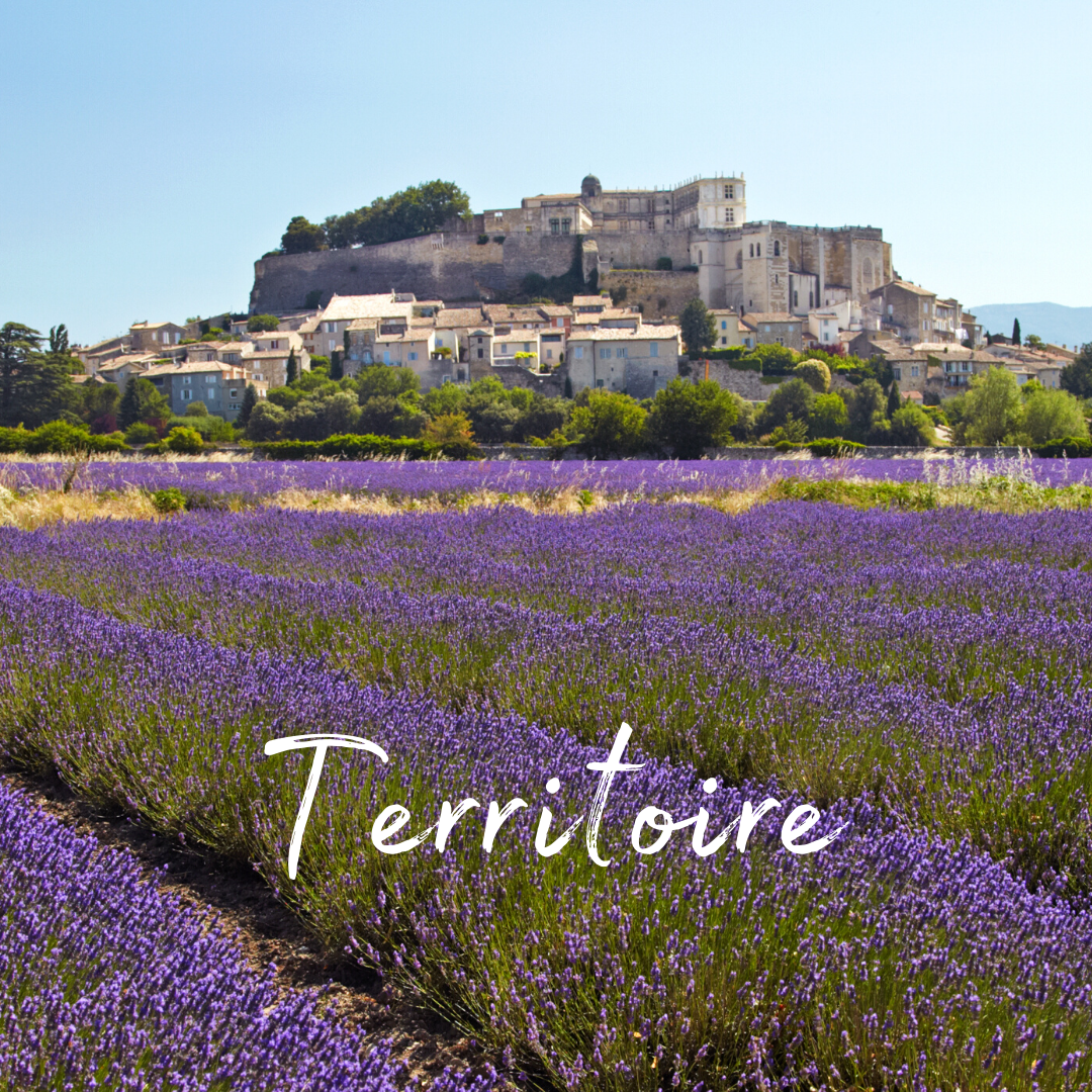 MON TERRITOIRE
