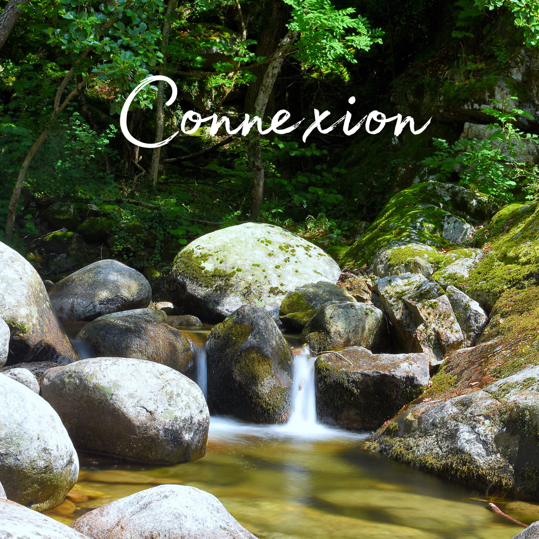 CONNEXION NATURE