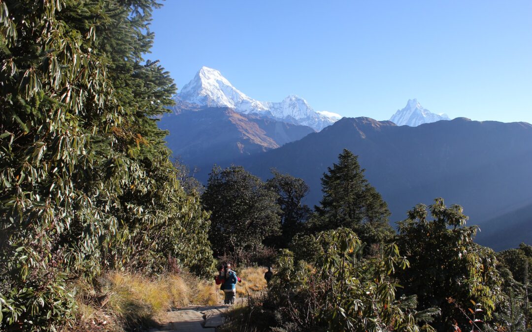 Trek au Népal – Les Chemins du Langtang en 14 jours