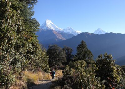 Trek au Népal – Les Chemins du Langtang en 14 jours