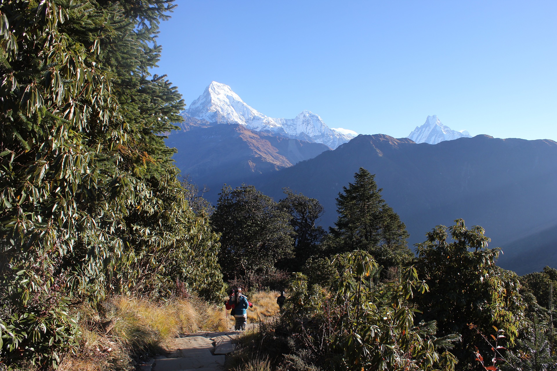 Trek au Népal - Les chemins du Langtang