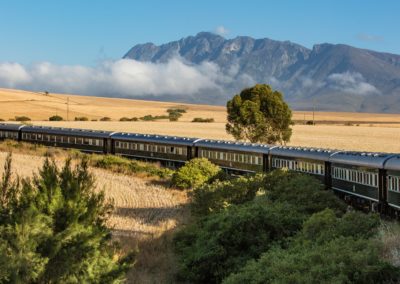 Voyage Afrique du Sud Train & Safaris