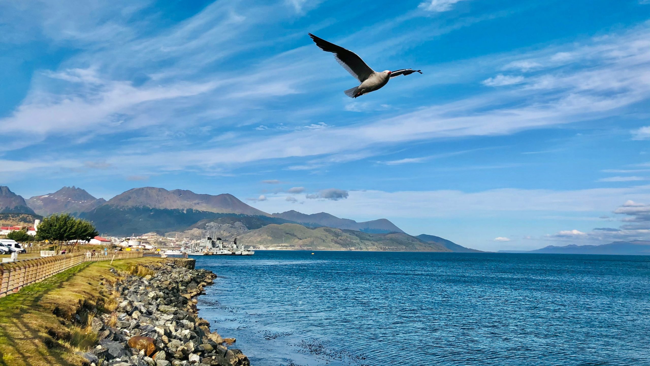 juan-pablo-mascanfroni-SoUqeKzR_Js-unsplash