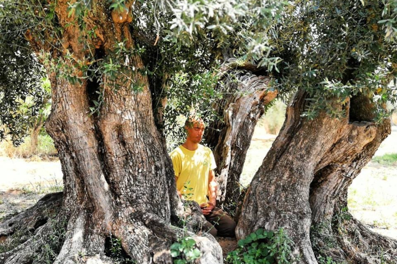 David Tan Lifeforce Méditation