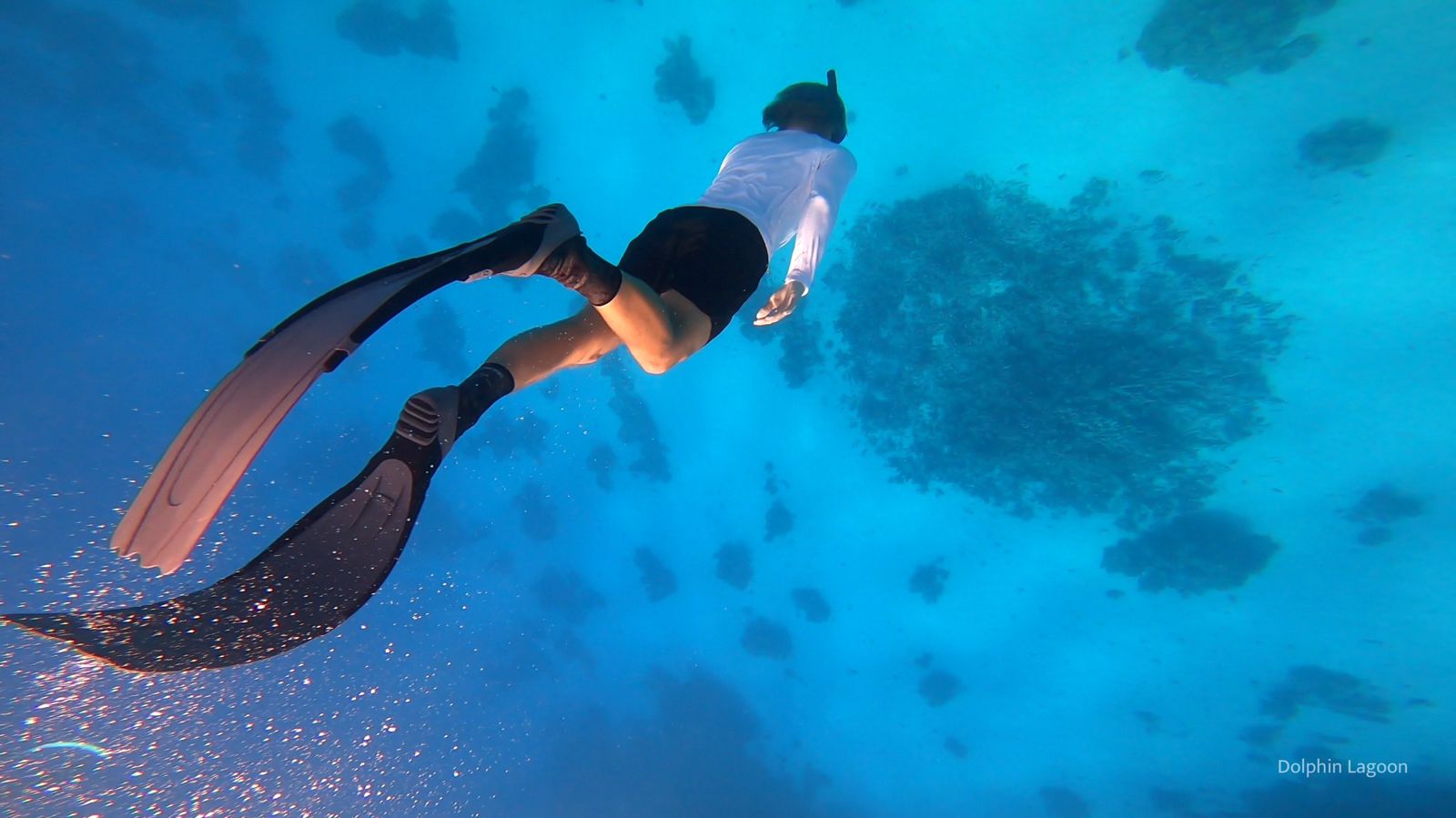 Aline Damour de Coeur sur Toi et Nenkaï